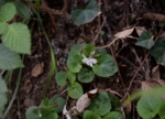 DSC_4836.jpg