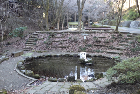 RIMG0593.JPG