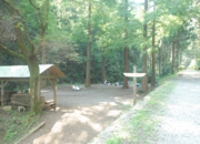 DSC_6438.JPG