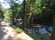 DSC_0859.JPG
