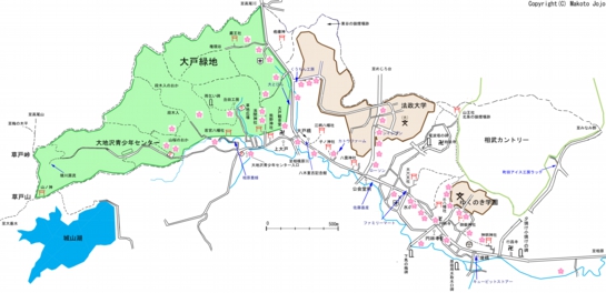 桜MAP.jpg