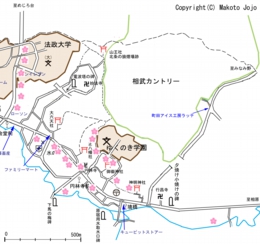 桜MAP1.jpg